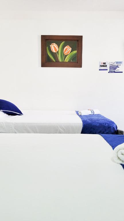 Postel nebo postele na pokoji v ubytování Hotel Acapulco Caucasia