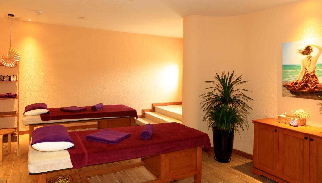 Venus Tam Đảo: Vị trí, đặc điểm, tiện ích, giá bán các hạng phòng & kinh nghiệm đặt phòng