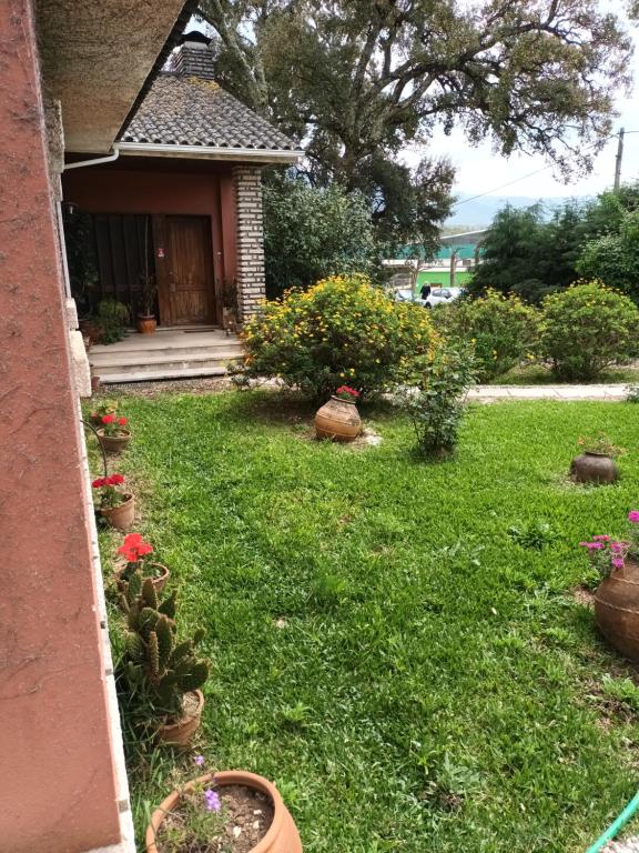 a yard with potted plants in front of a house at vivenda do Sobreiro AL in Serpins