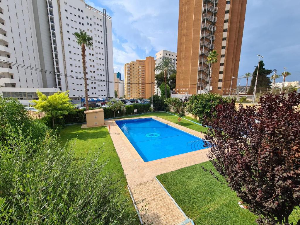 a swimming pool in a city with tall buildings at Apartamento Acacias IV -5 in Benidorm