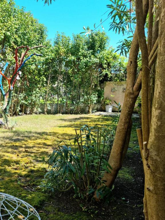 Villa Maxim in Corfu Town - 14