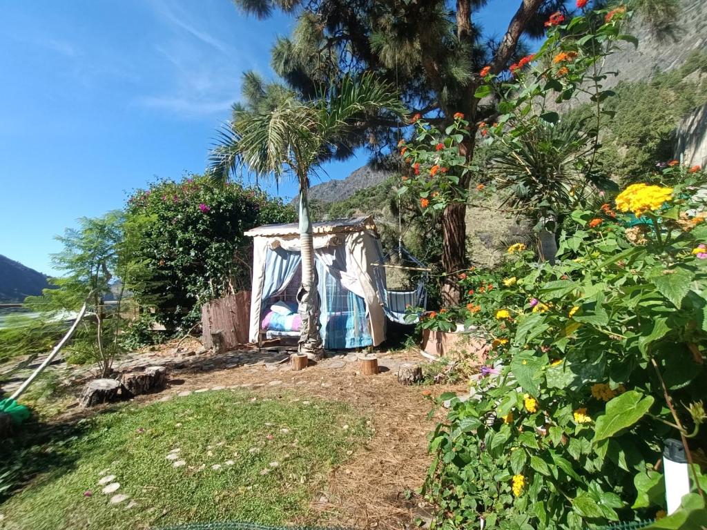 艾爾帕索的住宿－Rivendell, The Moon's Cradle，院子内有棕榈树的小房子
