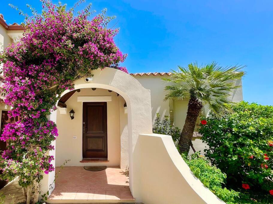 Zahrada ubytování Villa Hibiscus Stintino