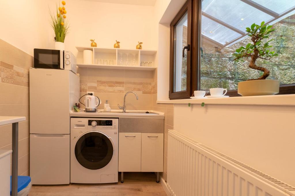 Una cocina o cocineta en 22 LOOP Apartment