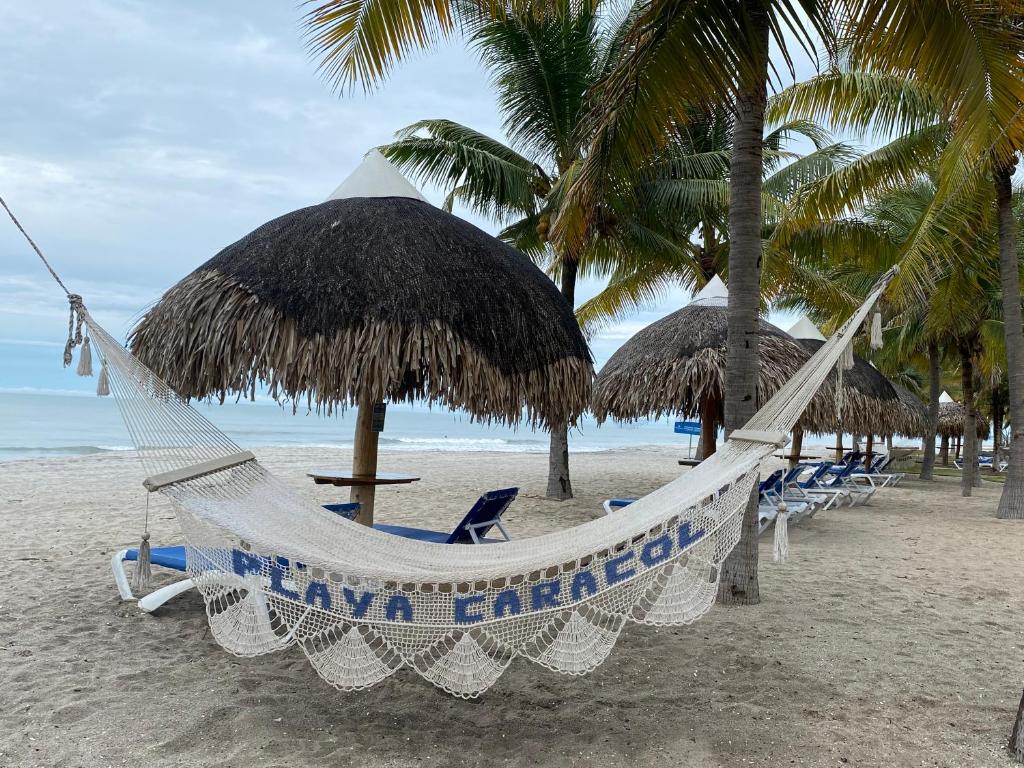a hammock on a beach with palm trees and the ocean at Playa Caracol Chame in Chame