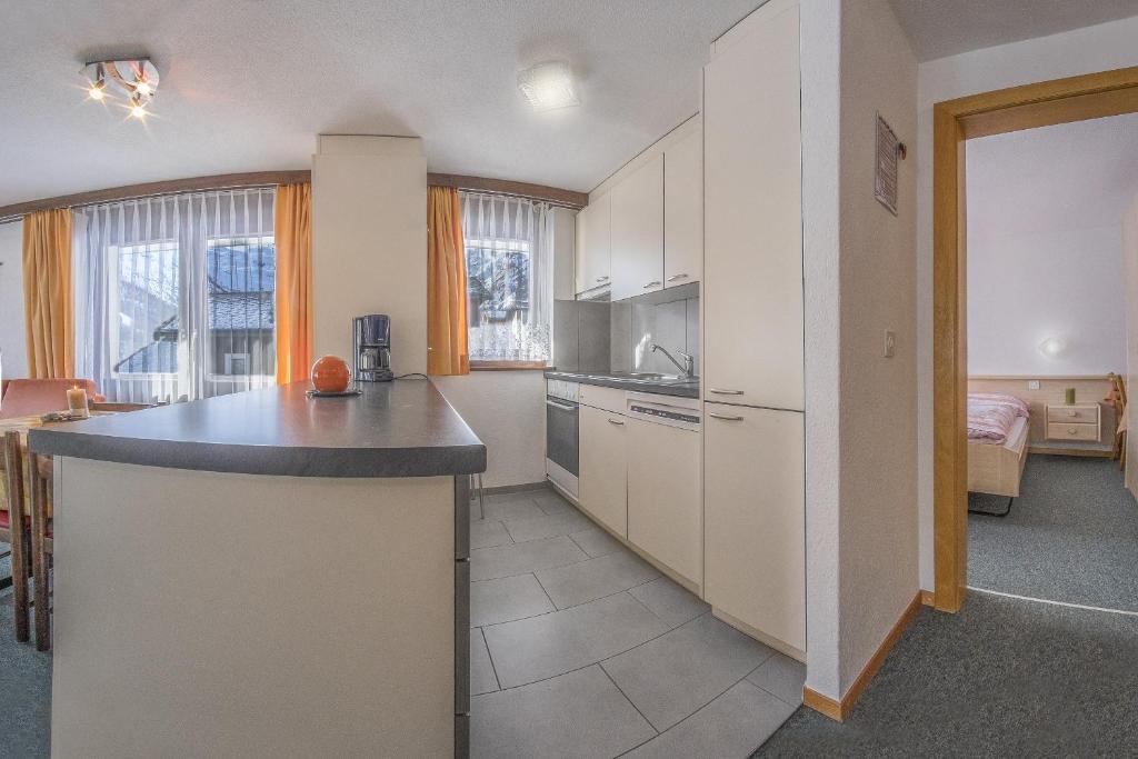 Kuchyň nebo kuchyňský kout v ubytování Apartments Bergrose