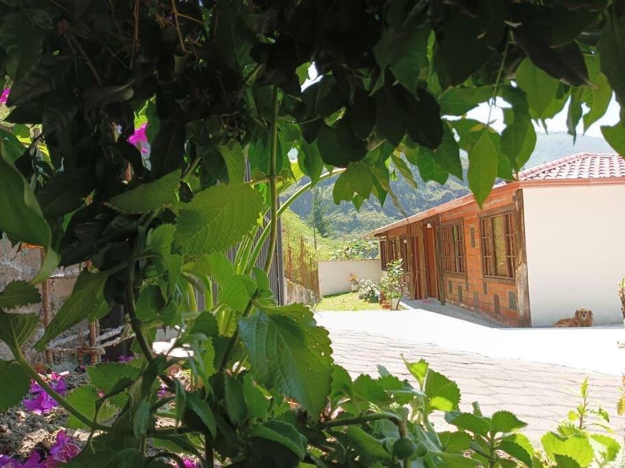 Blick auf ein Haus von einem Baum in der Unterkunft El Rancho Viejo de José, suit de una habitación in Cusúa