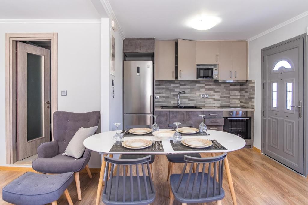 Kuchyň nebo kuchyňský kout v ubytování Dion apartment