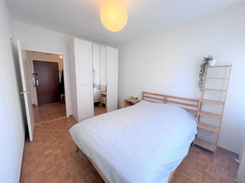 Postel nebo postele na pokoji v ubytování Appartement spacieux et lumineux aux Eaux-Vives