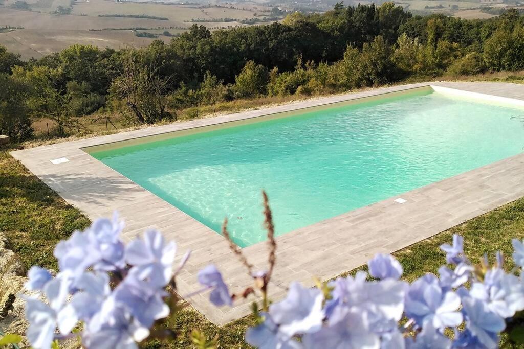 una piscina vacía con flores azules en primer plano en Casale dei 3 galli, en Configni