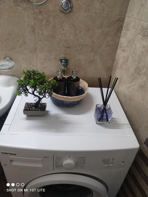 een wasmachine met twee planten erop bij SMALL AND COMFORTABLE APARTMENT VATHI SAMOS in Vathý