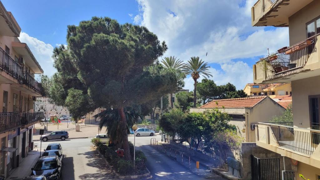 a city street with a tree and cars parked on the street at La casa di nonna Carmelina in Milazzo