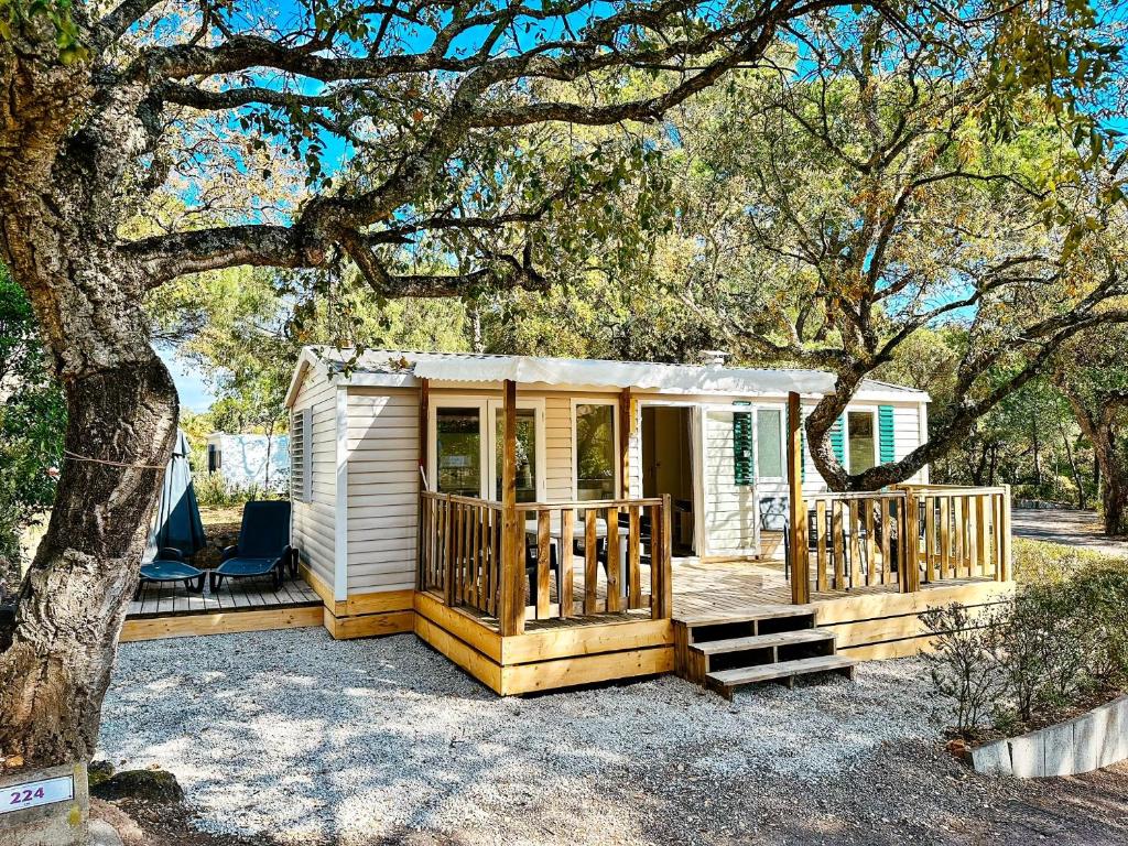 une petite maison avec une véranda et un arbre dans l'établissement 3 bedroom Chalets Camping Leï Suves - JoyCasa, à Roquebrune-sur Argens