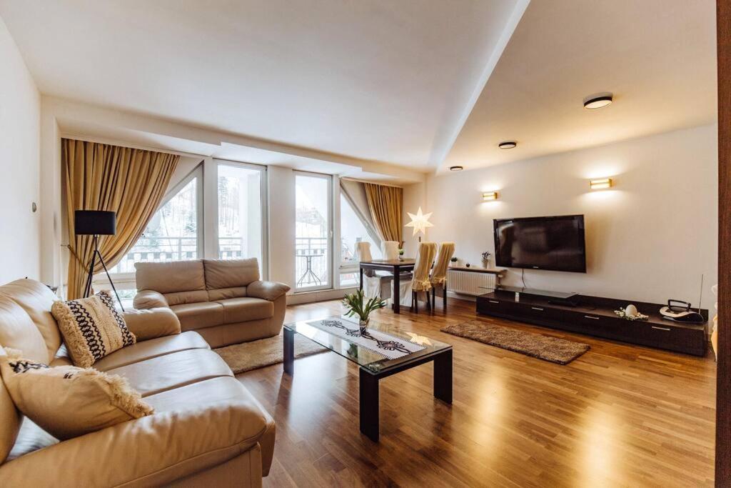 TV a/nebo společenská místnost v ubytování Apartament Bukowa Mountain Wisla