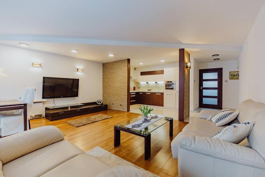 TV a/nebo společenská místnost v ubytování Apartament Bukowa Mountain Wisla