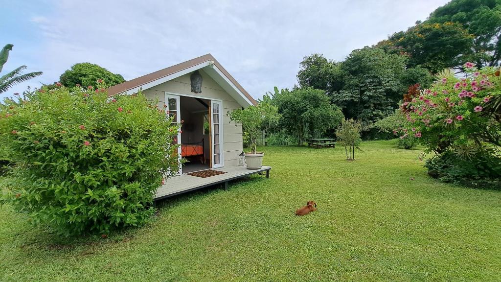 TAHITI - Cocoon Mataiea B&B - photo 12 - Tahiti, Polynésie