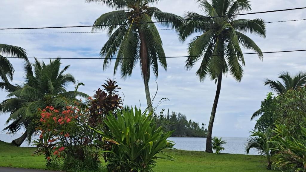 TAHITI - Cocoon Mataiea B&B - photo 8 - Tahiti, Polynésie