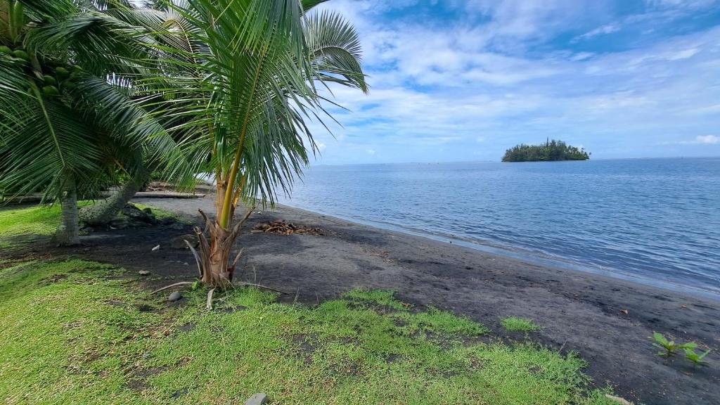 TAHITI - Cocoon Mataiea B&B - photo 6 - Tahiti, Polynésie