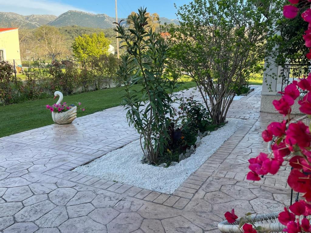 Zahrada ubytování Villa Sandra