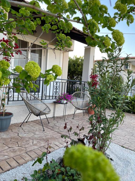Zahrada ubytování Villa Sandra