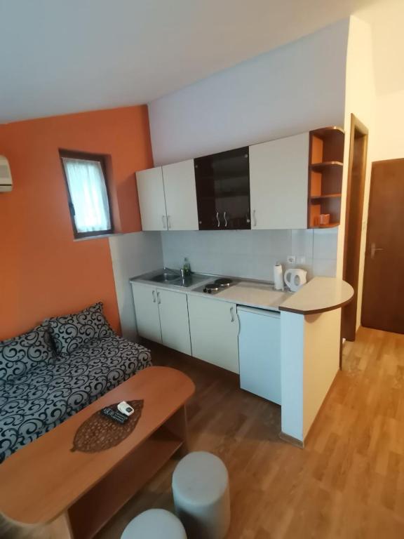 Kuchyň nebo kuchyňský kout v ubytování Apartments Stari most
