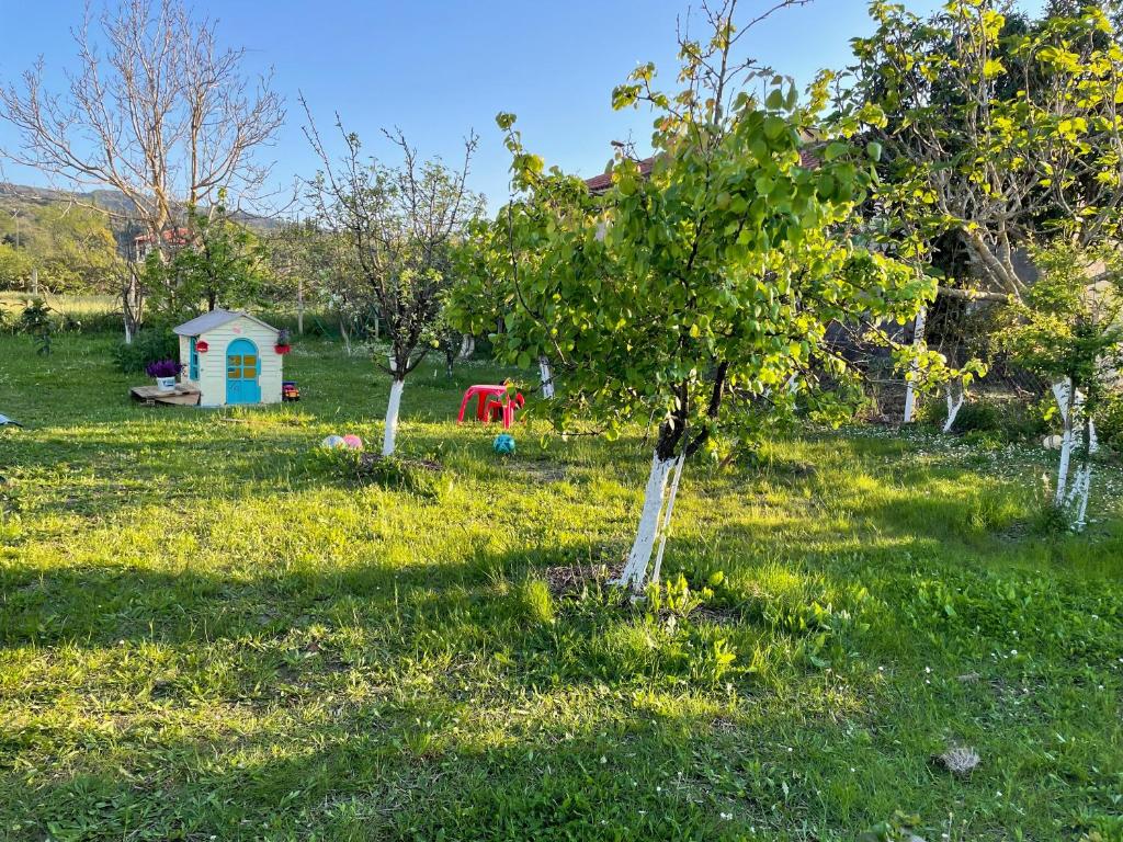 Zahrada ubytování Villa Sandra