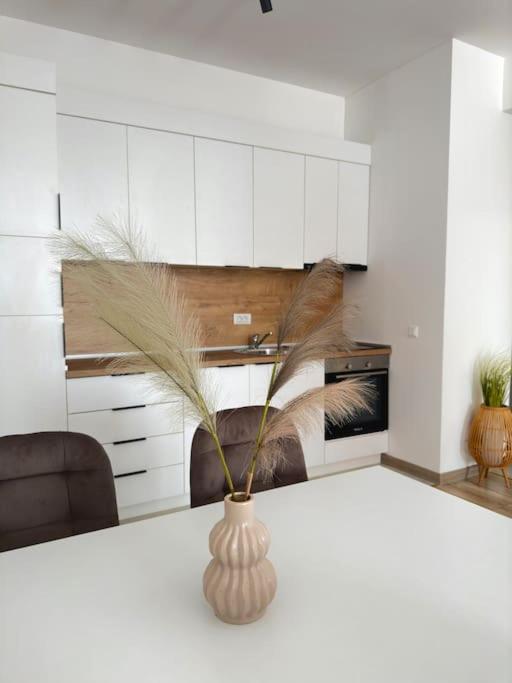 Swiss Apartments 2, Ulcinj Updated 2023 Prices