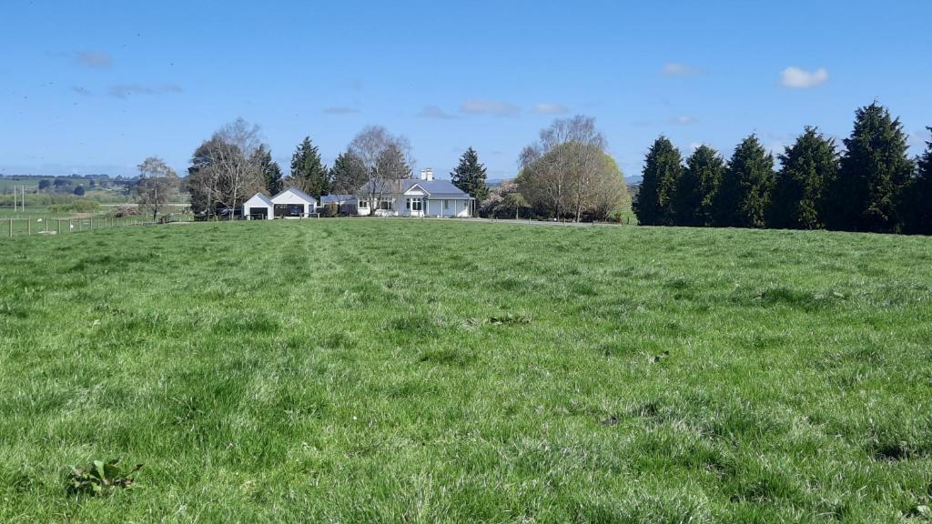 un gran campo de césped verde con una casa en el fondo en Greenfield Country Homestay, en Pukeawa