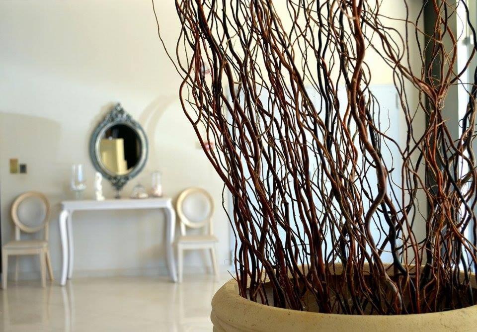 Fotografie z fotogalerie ubytování Evia Hotel & Suites v destinaci Marmarion
