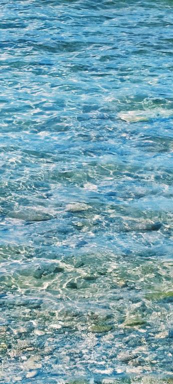 Paesaggio naturale nelle vicinanze dell'affittacamere