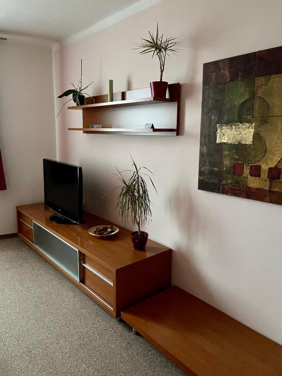 TV a/nebo společenská místnost v ubytování Hotel Ostrov Garni