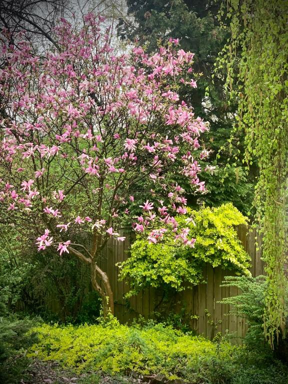 Aparthotel STUDIO - Resim 21