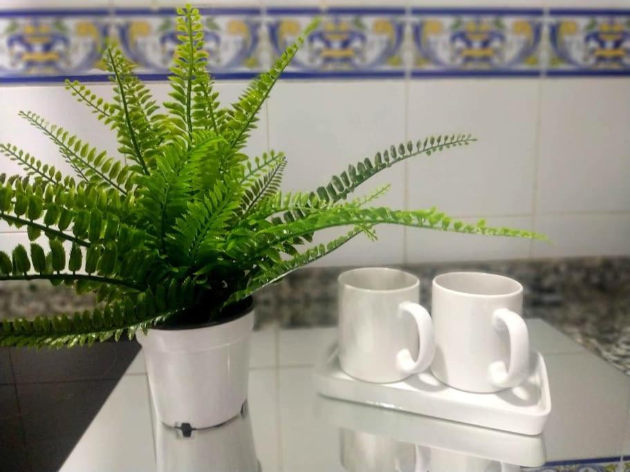 una planta en un jarrón junto a dos tazas de café en Apartamento Las Canastas Cádiz Centro, en Cádiz