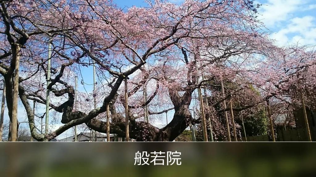 Fotografie z fotogalerie ubytování ROOM Ryugasaki v destinaci Ushiku