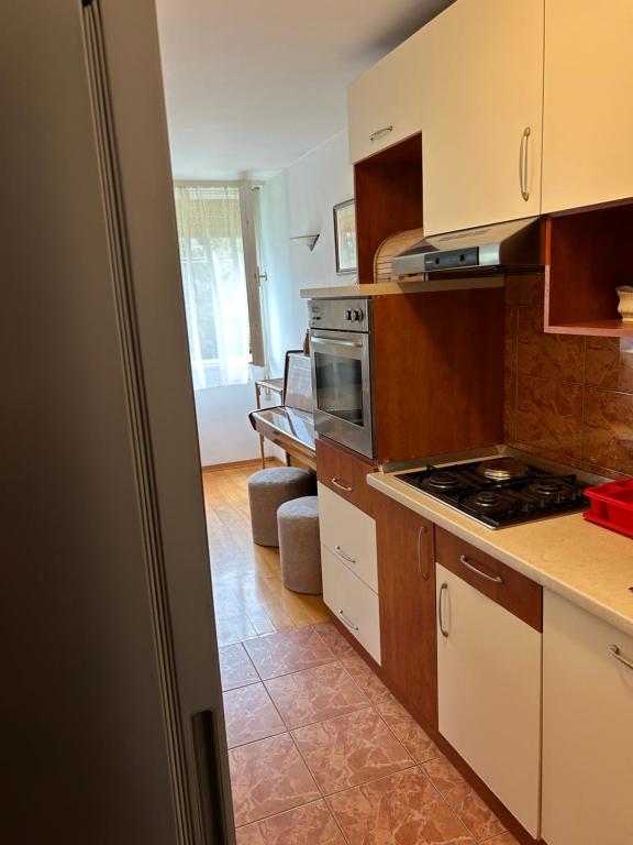 Kuchyňa alebo kuchynka v ubytovaní City Apartment Sonya