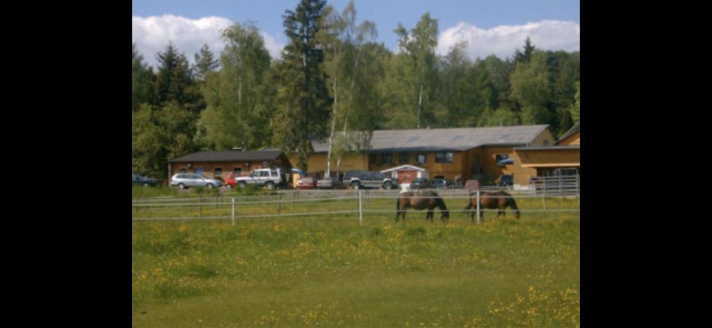Zvířata v apartmánu nebo okolí