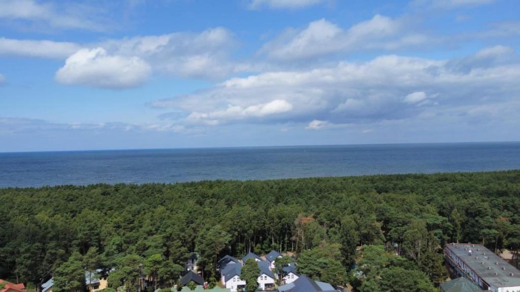 - une vue aérienne sur une maison et l'océan dans l'établissement Apartament w sosnowym lesie, à Międzywodzie