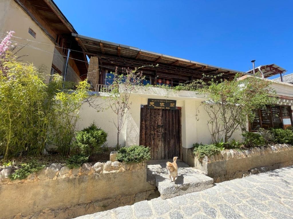 a dog standing in front of a house at Timeless Inn in Shangri-La