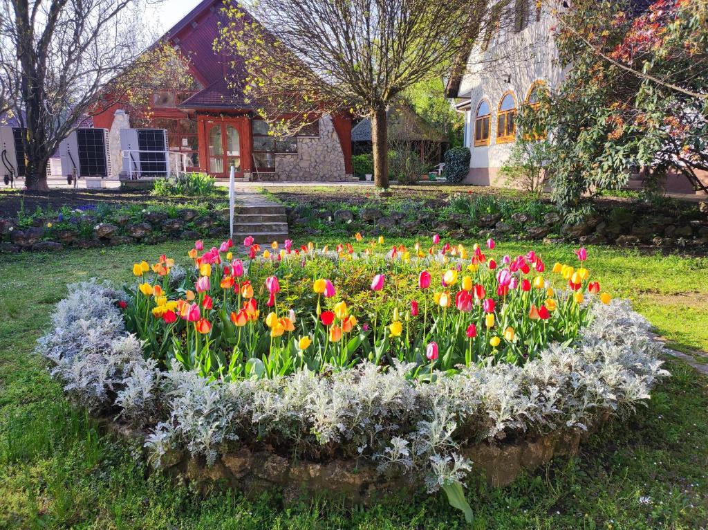 Ágnes Hotel - Resim 25