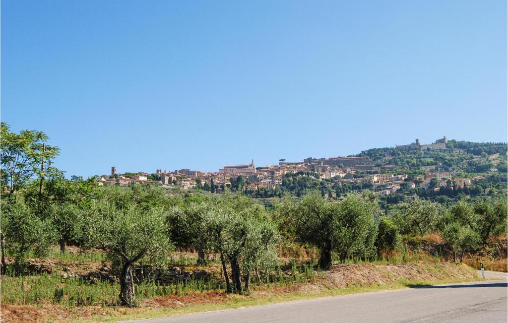 Pozzo – Photos 5
