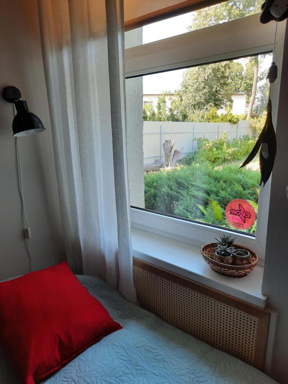 a bedroom with a window with a red pillow and a plant at Garden house in Daugavpils
