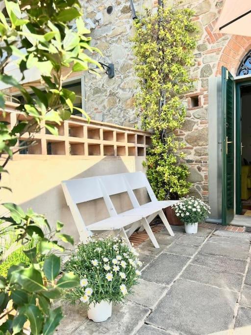 Zahrada ubytování Quadrifoglio Casa Toscana
