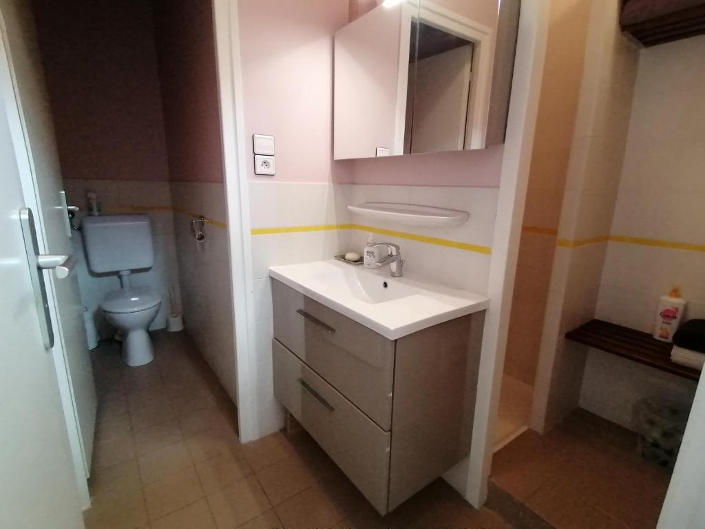 a bathroom with a sink and a toilet at Chambre d'hôtes dans le domaine du Château de Saint-Geoire in Saint-Geoire-en-Valdaine