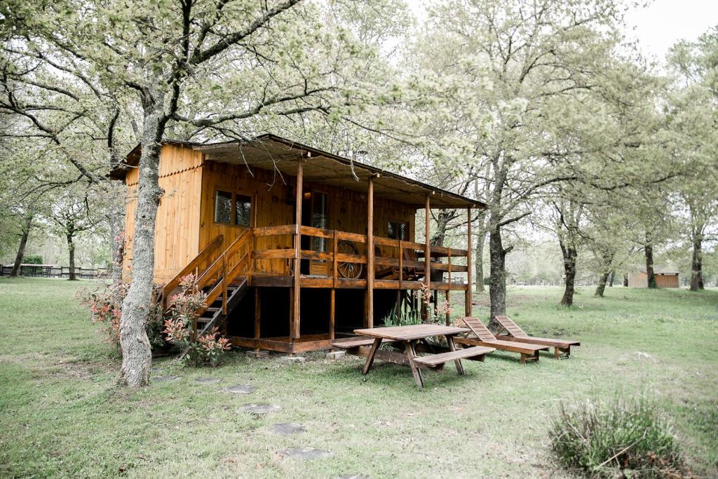 une cabane en bois dans un parc avec des bancs et un arbre dans l'établissement Le Ranch Amadeus, à Saint-Paul-en-Born