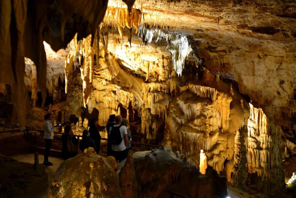 Hostia v ubytovaní Gite 2 pièces Parc des Chamois piscine chauffée