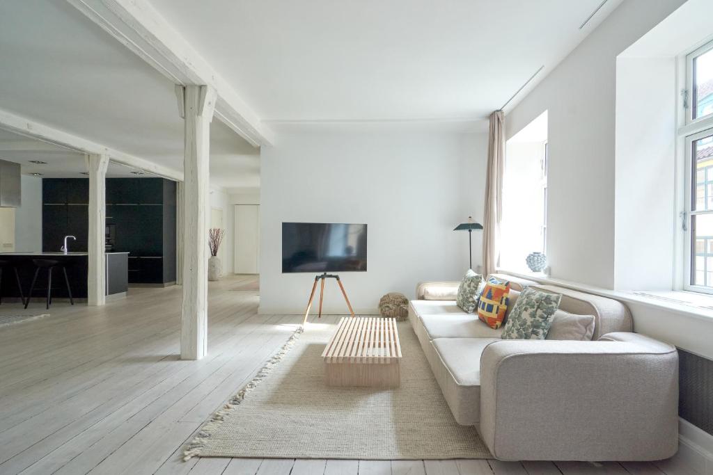 a living room with a couch and a tv at Spacious Flat Centrally Located in CPH's Old Town in Copenhagen