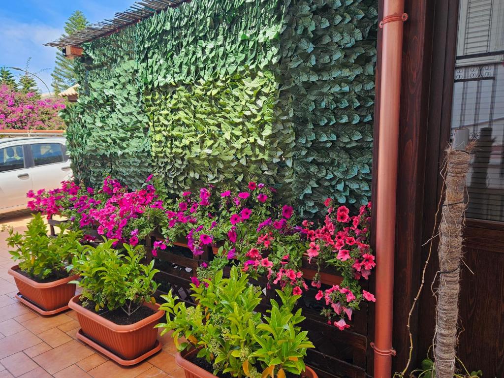 A garden outside La Dependance delle Mimose