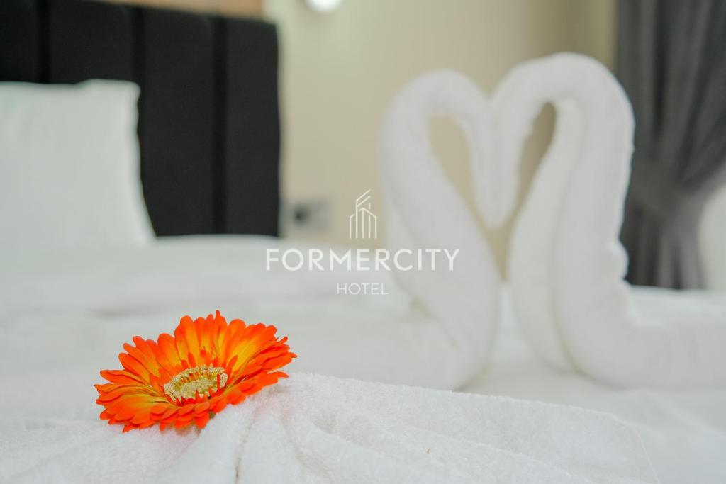 Fotografie z fotogalerie ubytování Formercity Hotel v destinaci Eskişehir