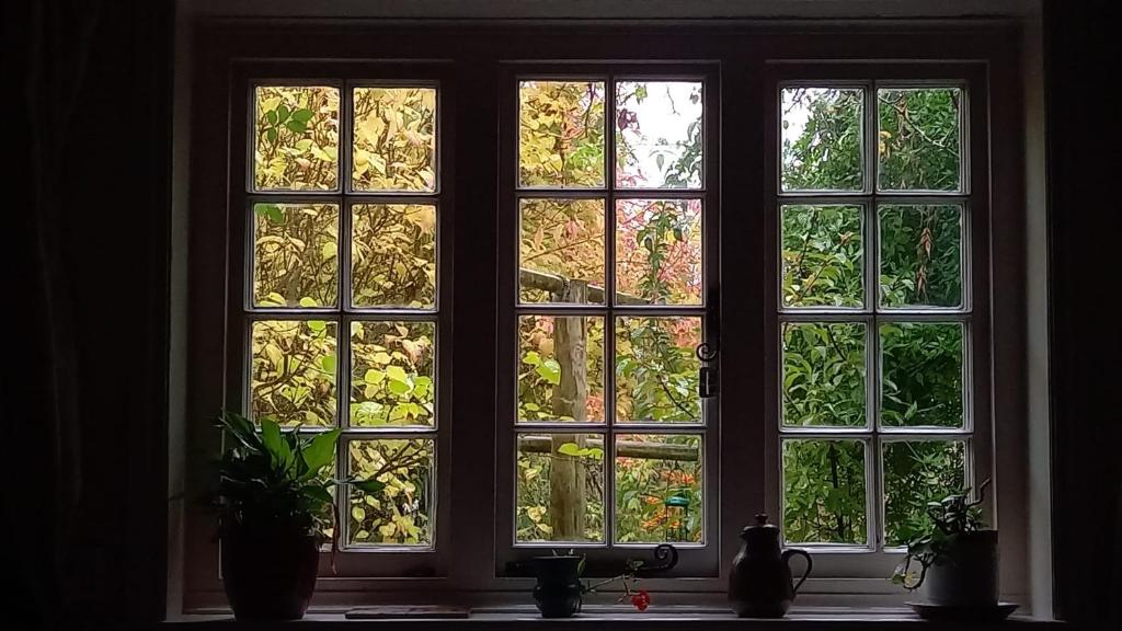 a window with a view of a garden outside at Italian Villa in Turbaţi