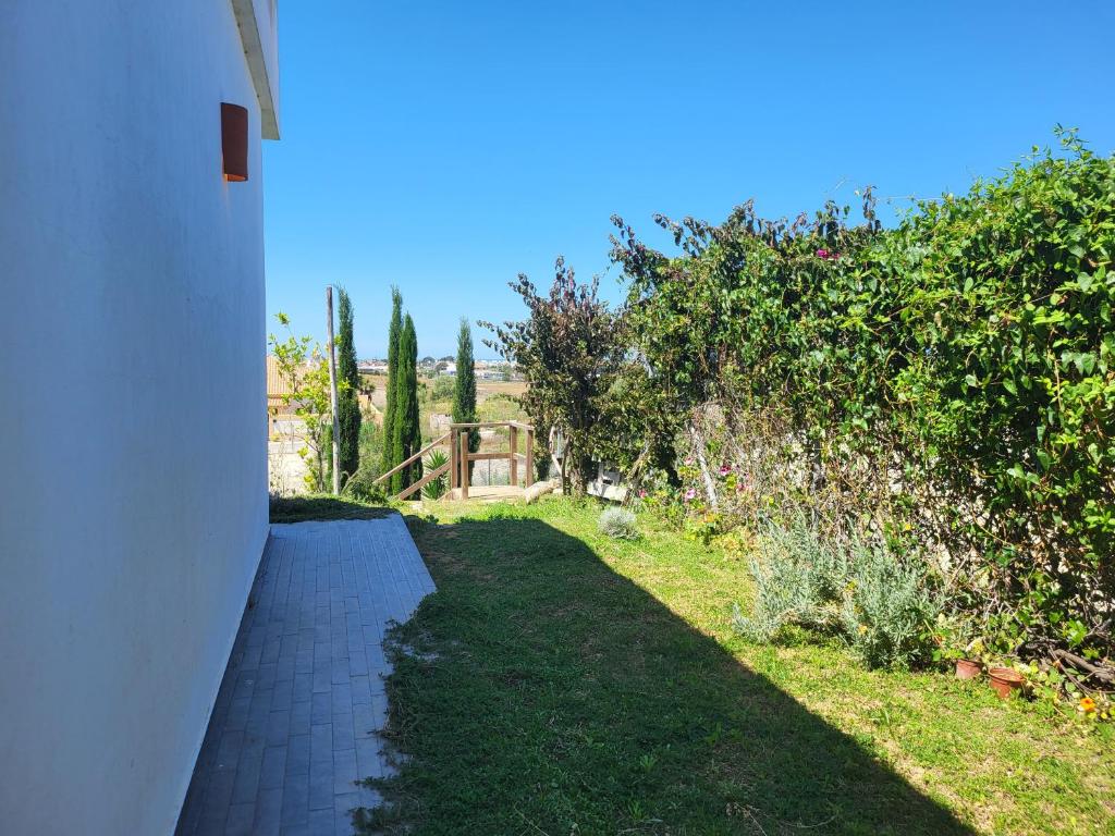 Zahrada ubytování Family house with nice garden 10min from Sanlúcar